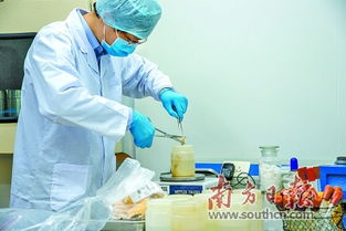 强监管优服务 守好粤东进出口食品安全大门