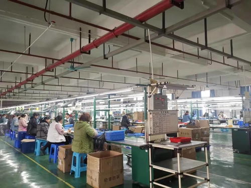 金沙 持续优化营商环境 增强企业发展信心