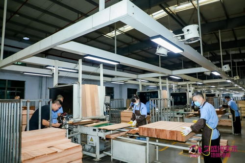 深化供应链体系强化产品研发技术, 久盛地板助力国民健康品质生活