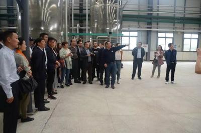 聚焦甘草产业 直击发展痛点--2019年全国甘草进出口工作会议在重庆召开