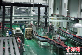 组图 探访广西 东盟经济技术开发区