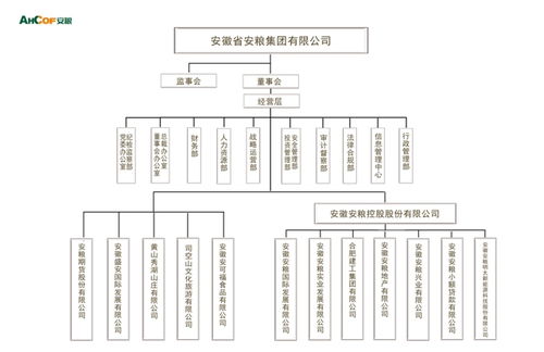 安徽省粮油食品进出口 集团 公司 关于安粮 组织架构