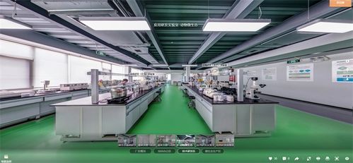 工厂培训 远程带看,vr数字工厂为企业打开新局面